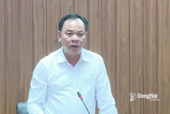 Đồng Nai đề xuất thay đổi nhiều chỉ tiêu đất ở, đất nông...