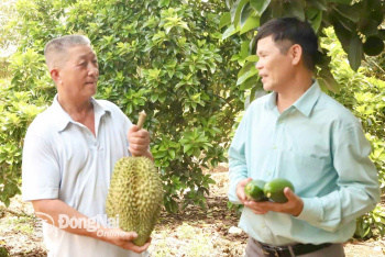 Nông dân sản xuất giỏi, tích cực xây dựng nông thôn mới