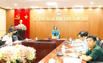 Tập trung cao độ vào việc phòng, chống dịch tả heo châu Phi