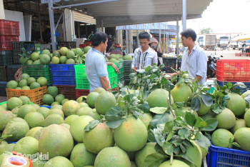 Phát triển kinh tế xã Dầu Giây hiện đại, bền vững