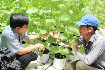 Đak Lua xa mà gần