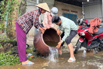 Tăng cường phòng, chống dịch bệnh sốt xuất huyết