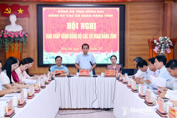 Cho ý kiến các nội dung quan trọng thuộc thẩm quyền của Ban Chấp hành Đảng bộ các cơ quan Đảng tỉnh