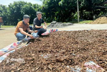 Xây dựng nông thôn sinh thái gắn với nông nghiệp tuần hoàn