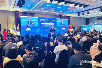 Đồng Nai tham gia Diễn đàn doanh nghiệp Mê Kông - Hàn Quốc