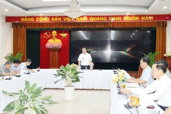 Đồng Nai đề nghị 4 công ty cao su sớm bàn giao đất phục vụ dự án trọng điểm