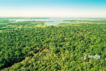 Kinh tế xanh, tuần hoàn - hướng đi tất yếu