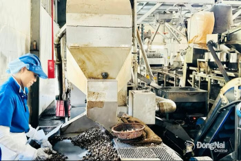 Tăng cường thu hút đầu tư vào lĩnh vực chế biến