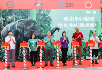 Khai mạc Tuần lễ Bảo tồn voi năm 2025 tại Đồng Nai