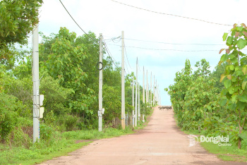 bg1