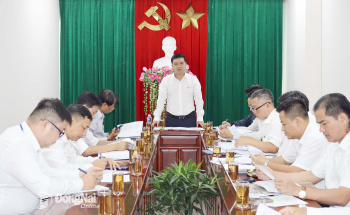 Yêu cầu tiếp tục đẩy nhanh tiến độ đấu giá đất tại Đồng Nai