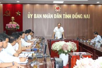 Đồng Nai gỡ vướng cho các dự án nguồn và lưới điện theo Quy hoạch điện VIII điều chỉnh