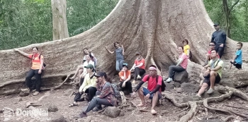 Vườn quốc gia Cát Tiên nhận 4 giải thưởng du lịch sinh thái quốc tế