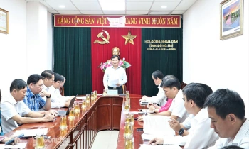 Giám sát tình hình triển khai thực hiện các dự án HĐND tỉnh quyết định chủ trương đầu tư giai đoạn 2021-2025