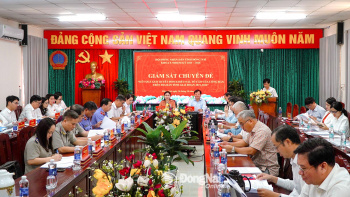 Giám sát kết quả giải quyết đơn thư khiếu nại, tố cáo của công dân