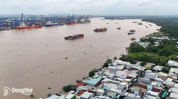 Chấp thuận giao Tập đoàn Masterise lập dự án cầu Phú Mỹ 2 kết nối Thành phố Hồ Chí Minh với Đồng Nai