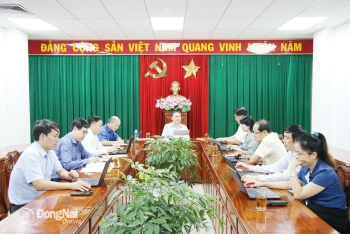 Rà soát các giải pháp thúc đẩy Chương trình Bình dân học vụ số, phát triển kinh tế số, xã hội số