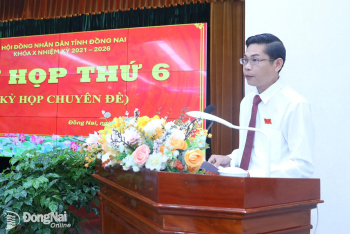 Đồng Nai xem xét hỗ trợ đối với người làm việc ngoài chỉ...