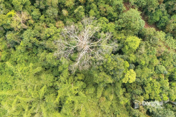 “Đánh thức” tiềm năng đa dạng sinh học