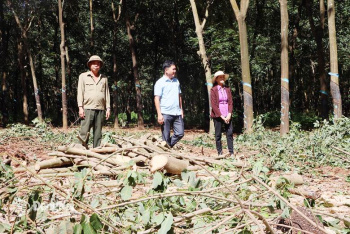 Chuẩn bị nguồn vật liệu cho 2 tuyến cao tốc phía Bắc tỉnh Đồng Nai