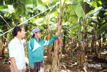 Ưu tiên phát triển vùng đồng bào dân tộc thiểu số
