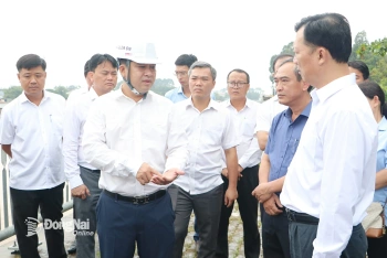 Gấp rút thông mặt bằng xây đường ven sông Cái