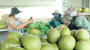 Xã Tân Tiến: Khát vọng mới sau sáp nhập