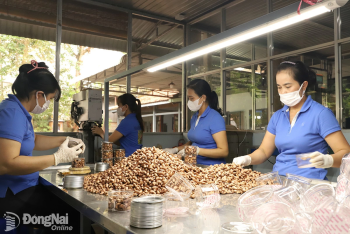 Phân “luồng xanh” cho hoạt động xuất, nhập khẩu điều