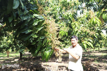 Xuân Thành giữ vững tiêu chí nông thôn mới kiểu mẫu