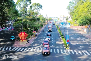 Đấu giá quyền sử dụng đất thửa đất số 145 và 14, tờ bản đồ số 31 xã Trảng Bom, tỉnh Đồng Nai