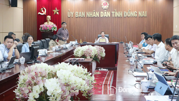 Đề xuất ý tưởng xây dựng Khu trung tâm chính trị - hành chính tỉnh Đồng Nai từ hình tượng ruộng bậc thang