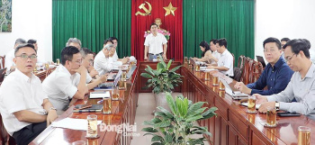 Ưu tiên phương án liên thông các tuyến metro kết nối Thành phố Hồ Chí Minh với Đồng Nai