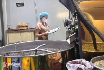 Khai thác tiềm năng, thúc đẩy xuất khẩu nông - lâm - thủy sản