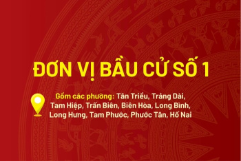 [Infographic] Chương trình hành động của các ứng cử viên đại biểu Quốc hội khóa XVI - Đơn vị bầu cử số 1