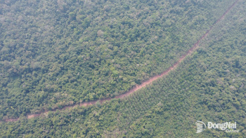 Đẩy nhanh tiến độ các dự án đường tỉnh kết nối Sân bay Long Thành