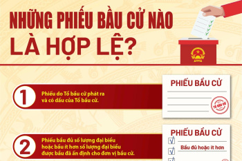 [Infographic] Những phiếu bầu cử nào là hợp lệ?