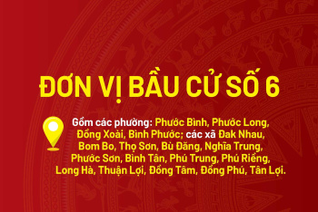 [Infographic] Chương trình hành động của các ứng cử viên đại biểu Quốc hội khóa XVI - Đơn vị bầu cử số 6