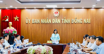 Đồng Nai sẽ tổ chức lễ hội xuất khẩu nông sản và Quả điều vàng năm 2026