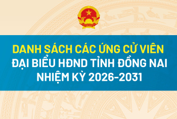 [Infographic] Danh sách ứng cử viên đại biểu HĐND tỉnh nhiệm kỳ 2026-2031 - các đơn vị bầu cử số 5, 6, 7, 8