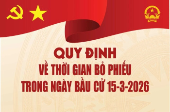 [Infographic] Bỏ phiếu trong khung thời gian nào là đúng quy định?