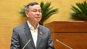 Đại biểu Quốc hội đề nghị nâng ngưỡng miễn thuế cho hộ kinh doanh