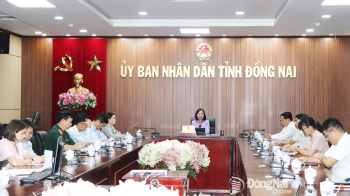 Chủ động thích ứng trong tình hình mới