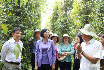 Tạo điều kiện cho Nedspice Processing Việt Nam đầu tư nhà...