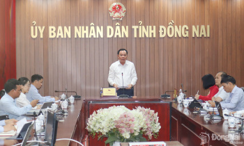 Đồng Nai lập tổ chỉ đạo xử lý tồn tại đất nông, lâm trường