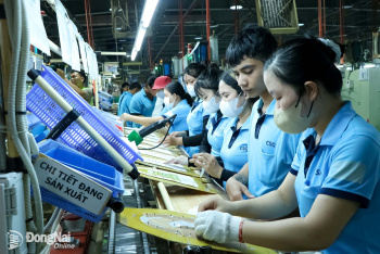 Creating favorable conditions for businesses to grow