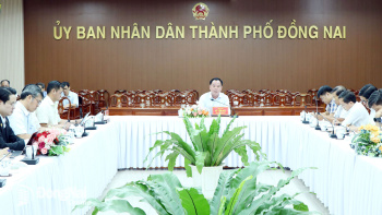 Đẩy nhanh tiến độ triển khai hạ tầng kết nối và cấp điện phục vụ cho 2 Khu công nghiệp Bàu Cạn - Tân Hiệp và Xuân Quế - Sông Nhạn