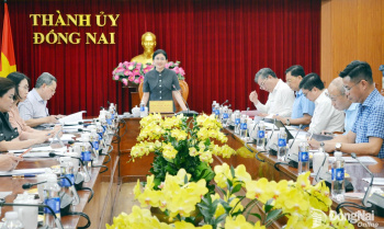 Rà soát việc xây dựng dự thảo nghị quyết của Bộ Chính trị về xây dựng và phát triển thành phố Đồng Nai