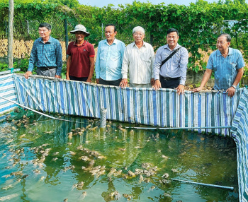 Hội Nông dân phường Nhơn Trạch khảo sát mô hình nuôi ếch hiệu quả cao