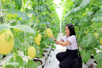 Tái cấu trúc theo hướng nông nghiệp đô thị, sinh thái