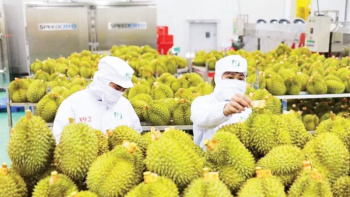 Gia tăng kiểm soát chuỗi cung ứng nông sản